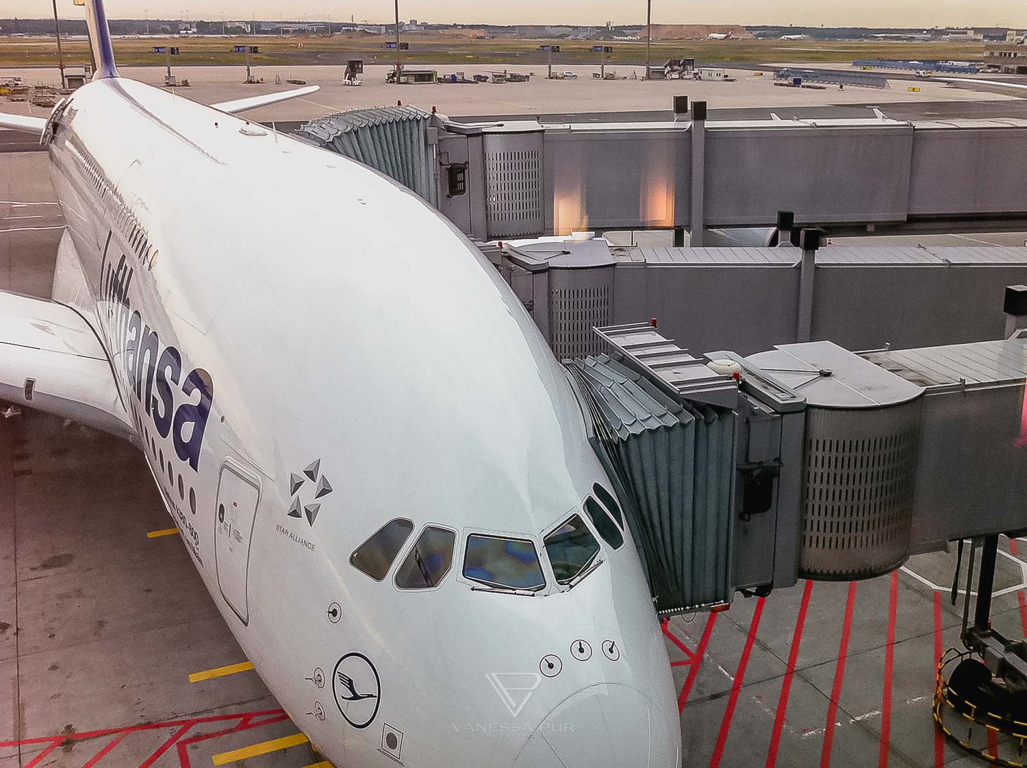 Lufthansa Airbus A380 LH 462 - Einführungsflug - Frankfurt nach Miami - Bericht und Erfahrung über den Einführungsflug LH462 des neuen Lufthansa Airbus A380 von Frankfurt nach Miami in der Business Class Gate C16