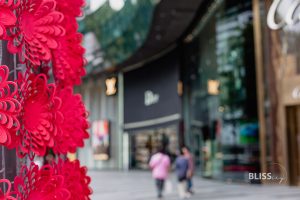 Sehenswürdigkeiten Singapur Orchard Road Shopping mit ION Center