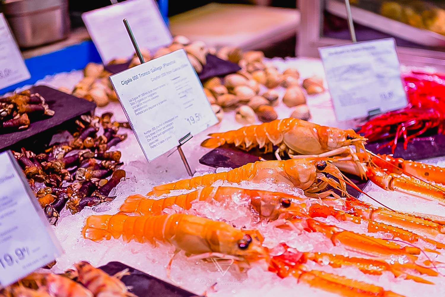 Madrid top 10 restaurants for tapas and sweets - Sightseeing - Mercado de San Miguel - Madrid, Spain - Tapas, Bars and Entertainment