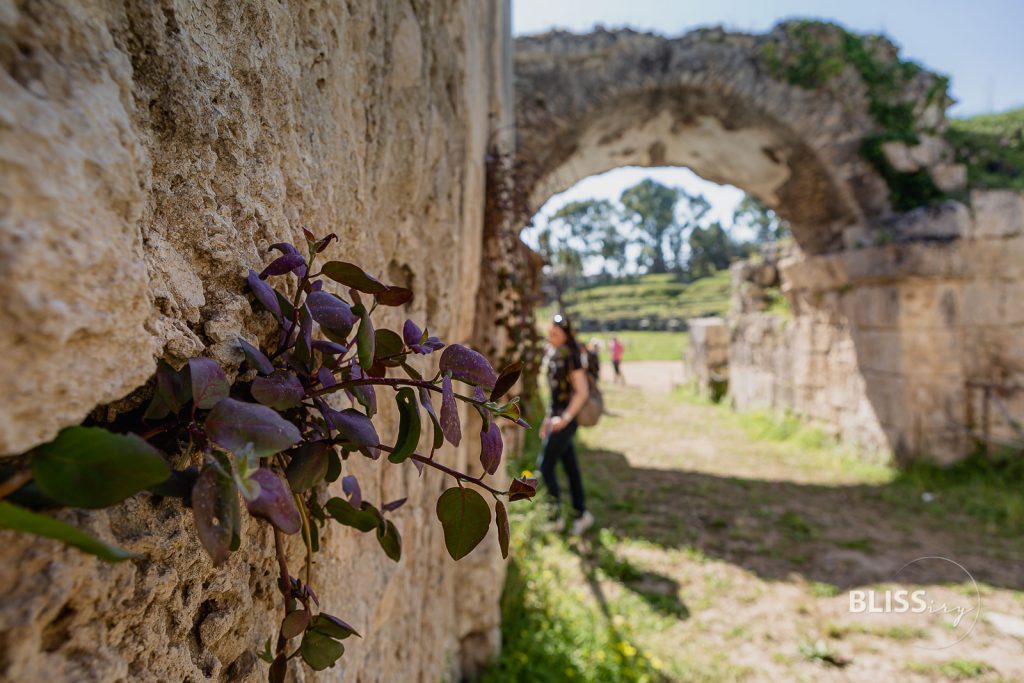 Sicily Italy - Experience Syracuse and Noto - Top 10 sights in Syracuse and Noto in the southeast of Sicily with the largest Greek theater and the most beautiful almonds, old town,