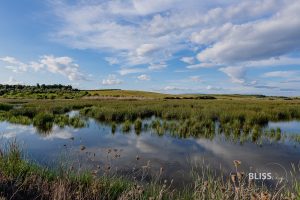 Wetlands und Birdwatching - Eco-Tourismus in Griechenland - Sani - Griechenland - Wetlands Naturpark