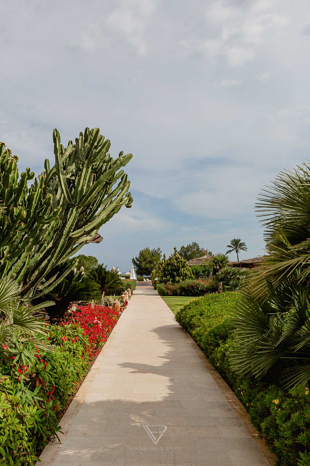 Acupuncture at the St. Regis Mardavall Mallorca Luxury Spa - Wellness in Mallorca - Traditional Chinese Medicine - Relaxation at the St. Regis Mardavall