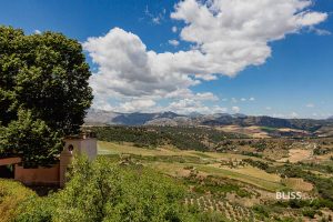 Ronda sights in Andalusia near Malaga - Malaga sights - Ronda bridge and city tour - Andalusia with Ronda rocks with houses