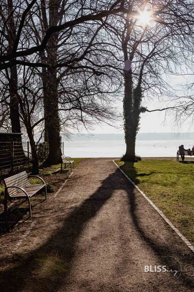 Waren an der Müritz Sehenswürdigkeiten Müritzeum Museum - Mecklenburg Vorpommern - Waren an der Müritz - Sehenswürdigkeiten - Müritzeum - Museum