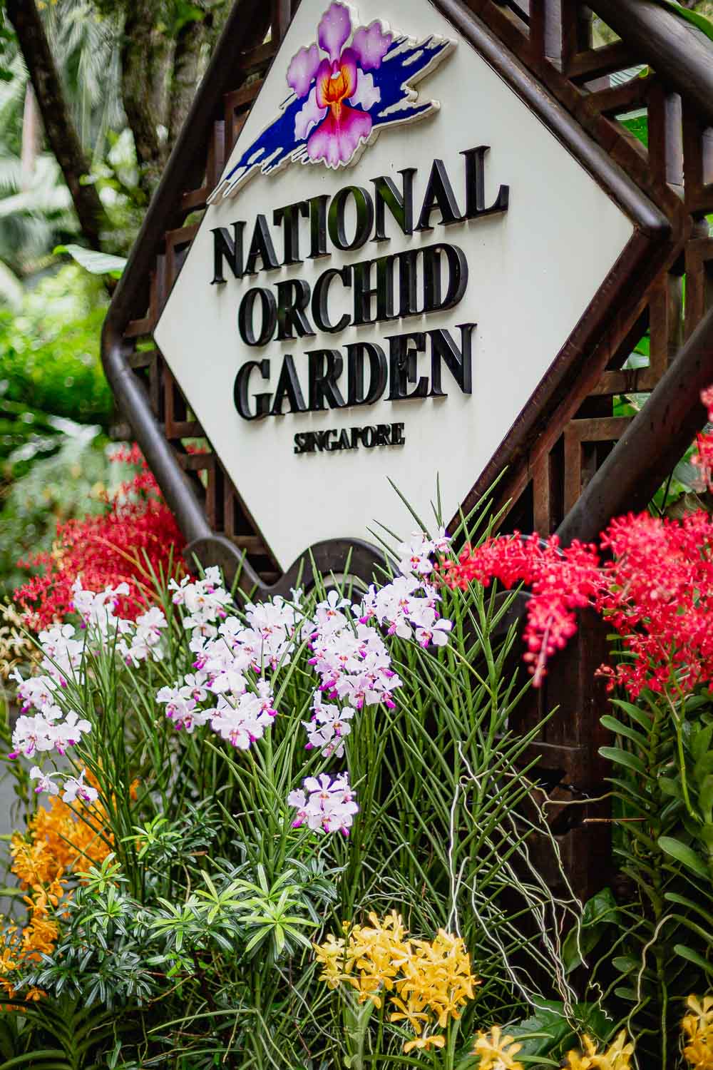 Sightseeing Singapore Botanic Garden - Orchid Garden - Top 10 sightseeing Singapore Botanic Garden and Orchid Garden as a park in nature. Orchid Garden, Botanic Garden for recreation