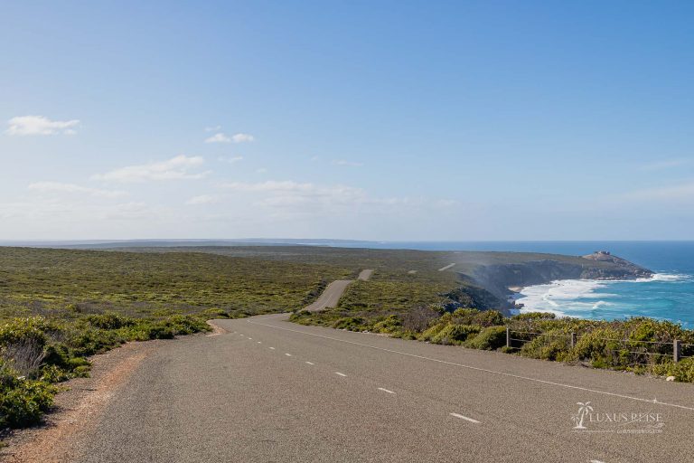 Kangaroo Island Sights in Australia – Wildlife National Park near Adelaide