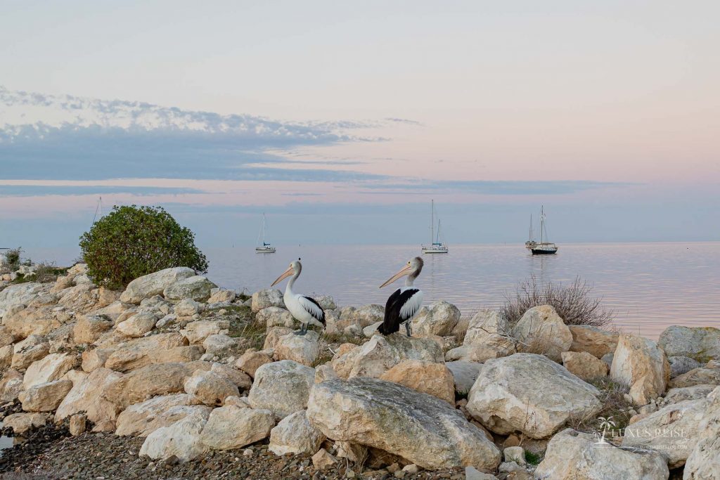 Kangaroo Island Australien - Scenic Spots - Sehenswürdigkeiten Adelaide Reise - Luxusreiseblog