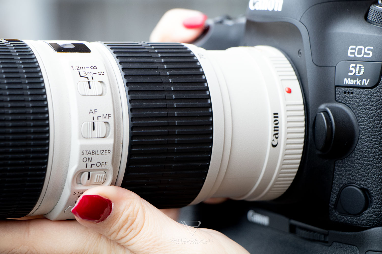 CANON 70-200mm f4 lens in review - The affordable L telephoto lens - Canon 70-200 f2.8 L IS II USM or f4.0 - Review and decision support - Is the Canon telephoto lens worth it - Evaluation and field reports