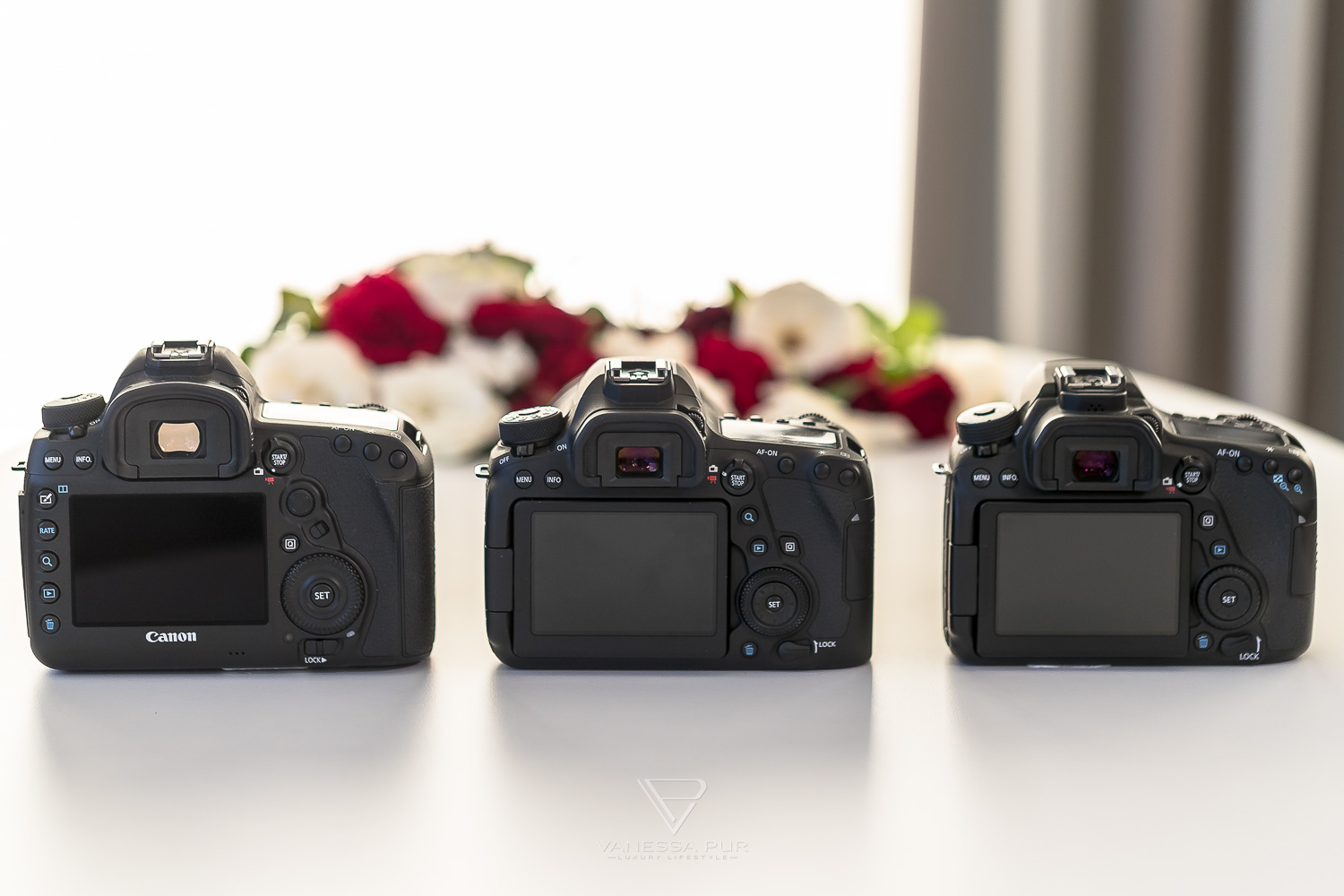 Canon EOS 6D Mark II Erfahrung und Bewertung - Die Einsteiger-Vollformat-Kamera - Vergleich Vollformat Kamera gegen Canon 5D Mark IV und Canon EOS 80D - Video-Format, Vorteile und Nachteile - Kaufempfehlung, Praxistipp