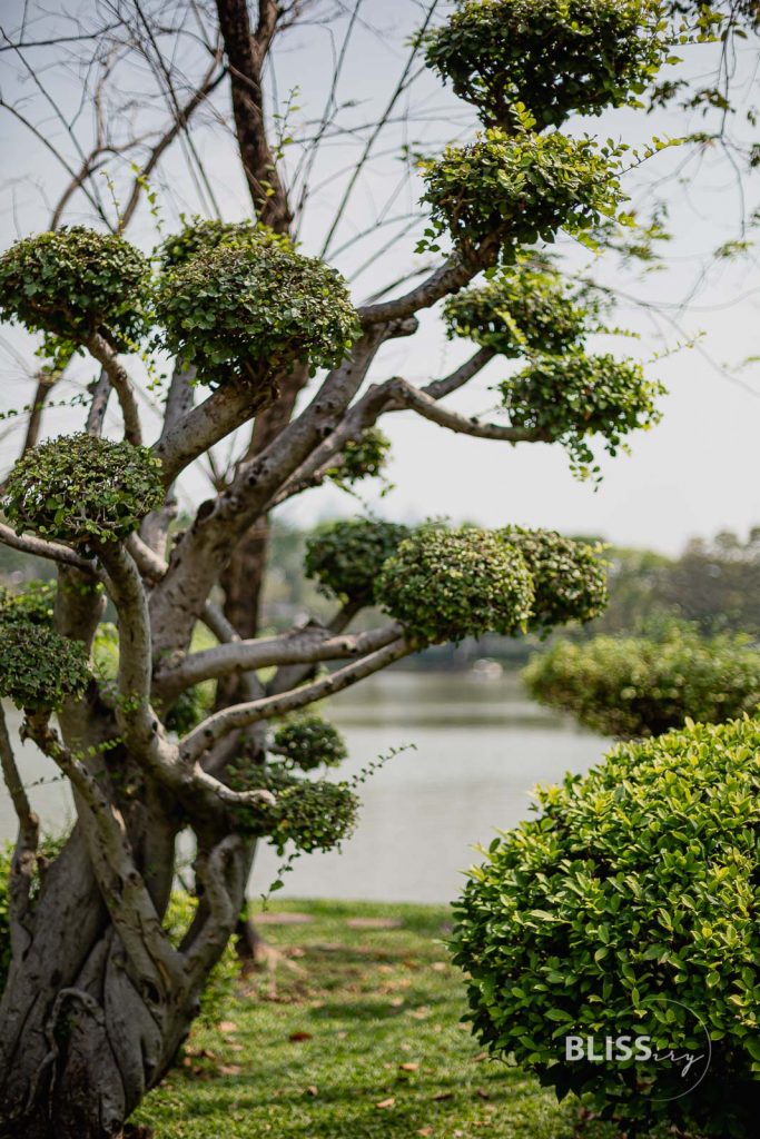 Sehenswürdigkeiten Bangkok - Lumpini Park in Thailand - Lumphini Park mit See zur Erholung und Sport oder Fitness