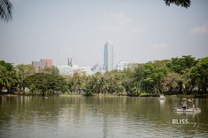 Bangkok Sights - Lumpini Park in Thailand - Lumphini Park with lake for recreation and sports or fitness - Travel tip and Bangkok sights Lumpini Park in Thailand. Recreation by the lake, sports, fitness, Tai Chi courses, aerobics. Lizards, monitor lizards