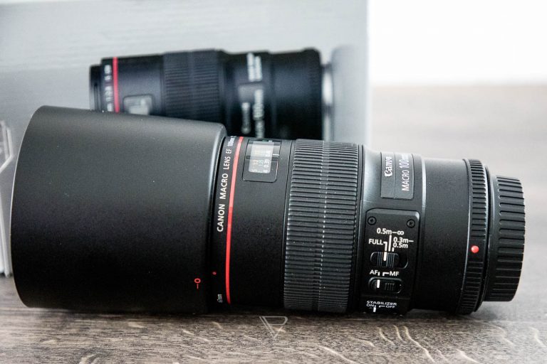 Canon 100mm f/2.8L Macro IS USM in review - Best Macro Lens?