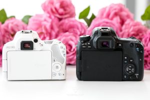 Camera for Bloggers - Understanding Camera Settings - Better Fashion Photos for Fashion Bloggers