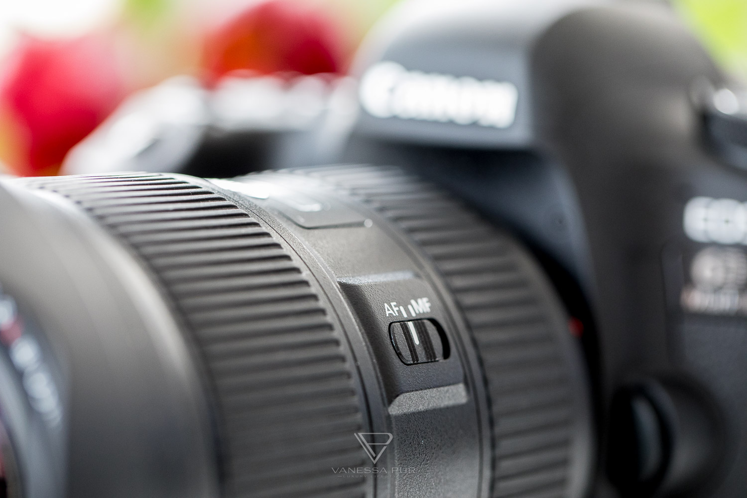 Canon EF 16-35 f/2.8 L III USM Objektiv im Test für Video und Foto - Fotoblog und Videoblogger