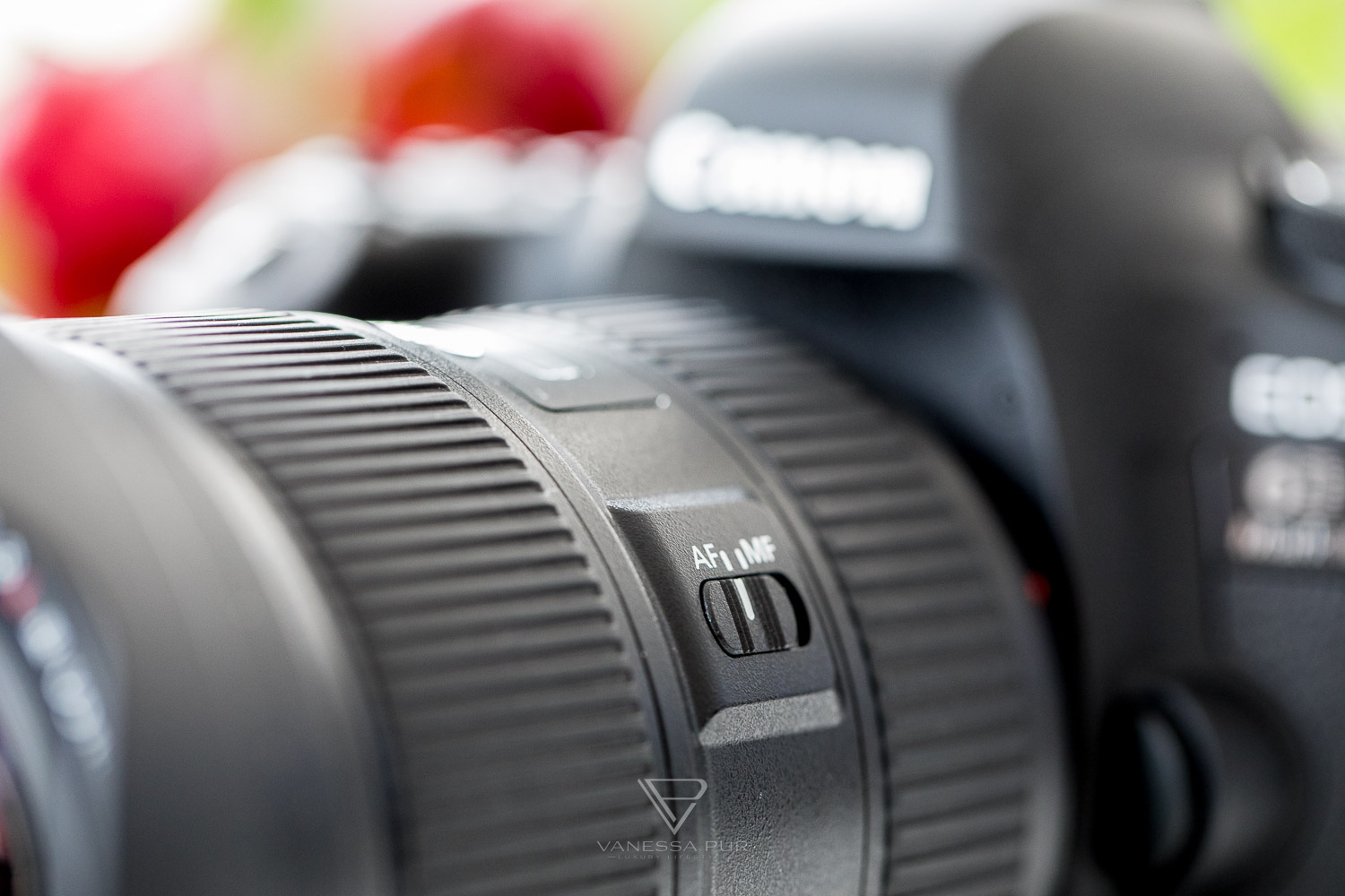 Canon EF 16-35 f/2.8 L III USM lens in review for video and photo - video blogger and vlogger or blogger and photographer