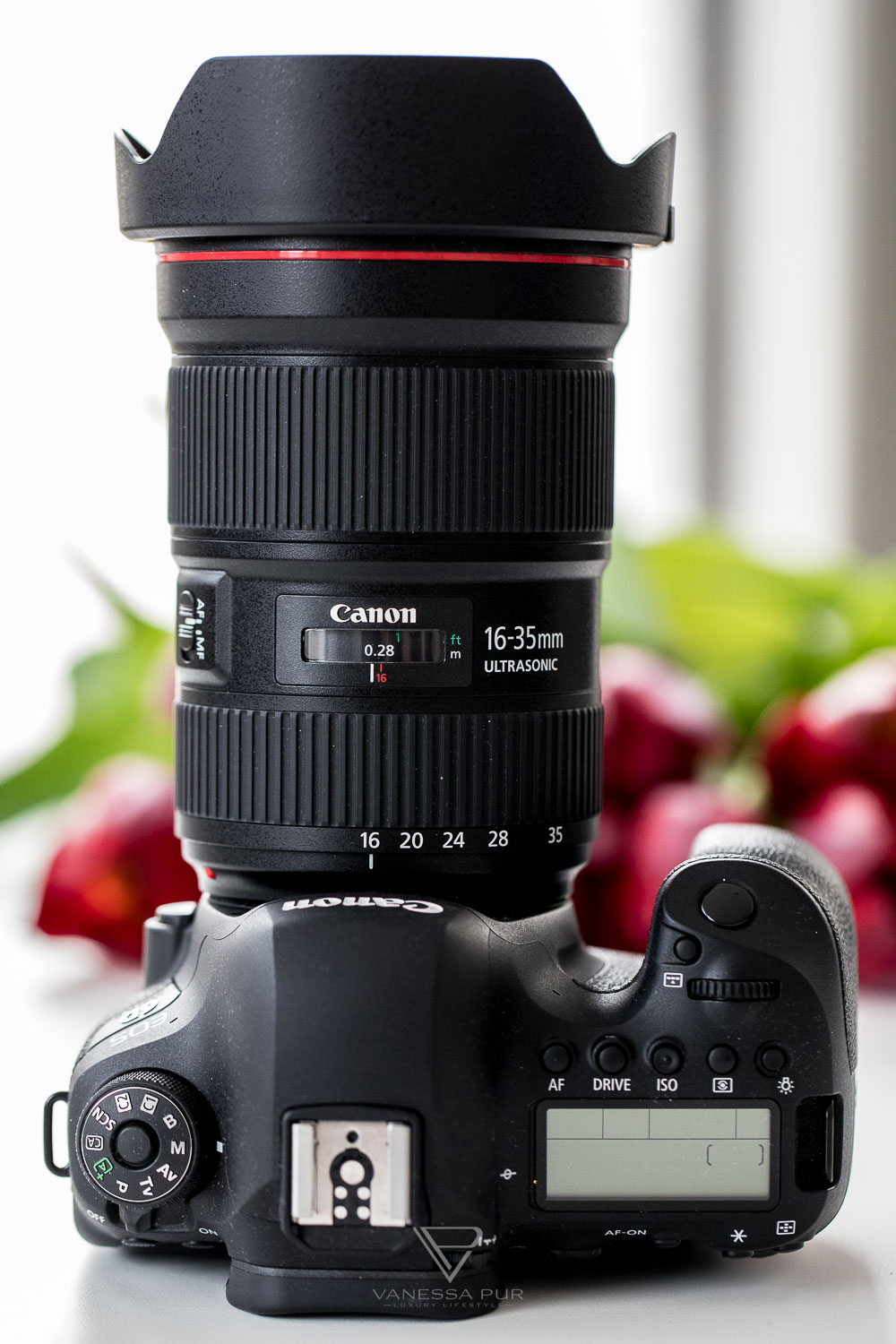 Canon EF 16-35 f/2.8 L III USM lens in review for video and photo - video blogger and vlogger or blogger and photographer