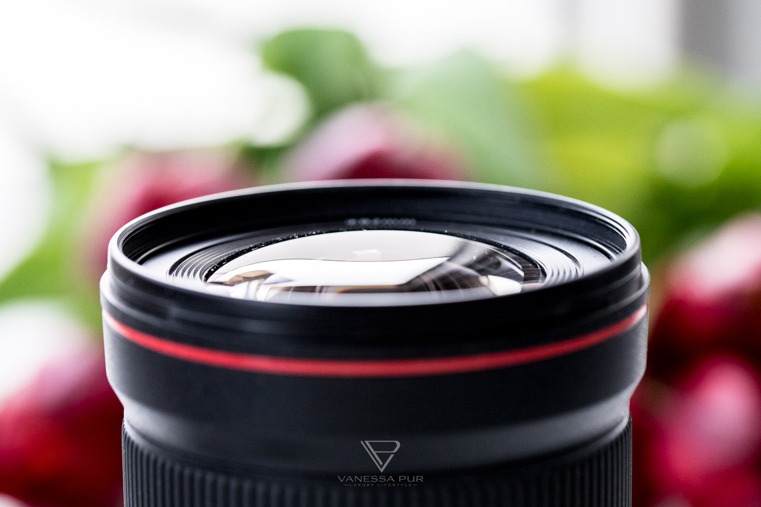 Canon EF 16-35 f/2.8 L III USM lens in review for video and photo - video blogger and vlogger or blogger and photographer