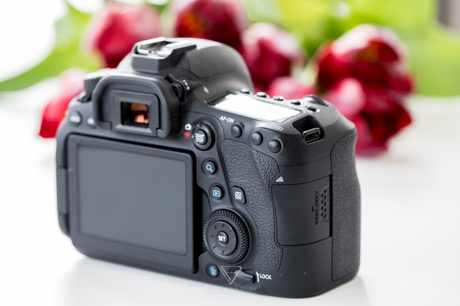 Canon 6D Mark II in long-term test - camera for photographers and videographers - How good is Canon's full-frame camera for photographers, vloggers and YouTubers? Is the switch worth it? What alternatives are there?