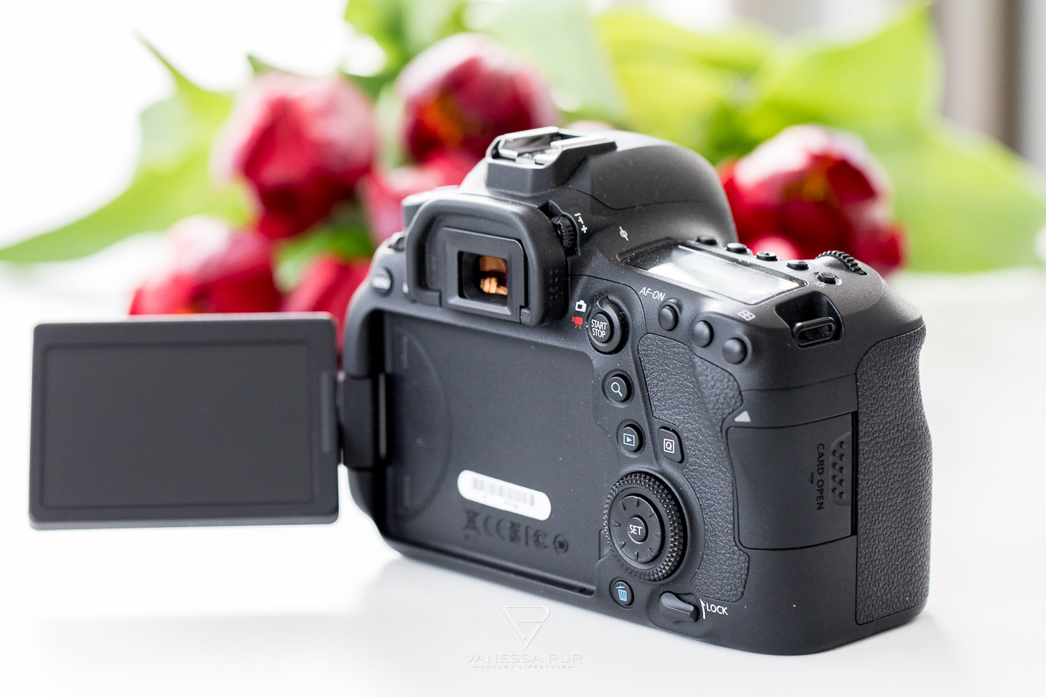 Canon 6D Mark II im Langzeittest - Kamera für Fotografen und Video-Filmer - wie gut ist die Vollformat-Kamera von Canon für Fotografen, Vlogger und YouTuber? Lohnt sich der Umstieg? Welche Alternativen gibt es?