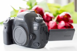 Canon 6D Mark II im Langzeittest - Kamera für Fotografen und Video-Filmer - wie gut ist die Vollformat-Kamera von Canon für Fotografen, Vlogger und YouTuber? Lohnt sich der Umstieg? Welche Alternativen gibt es?