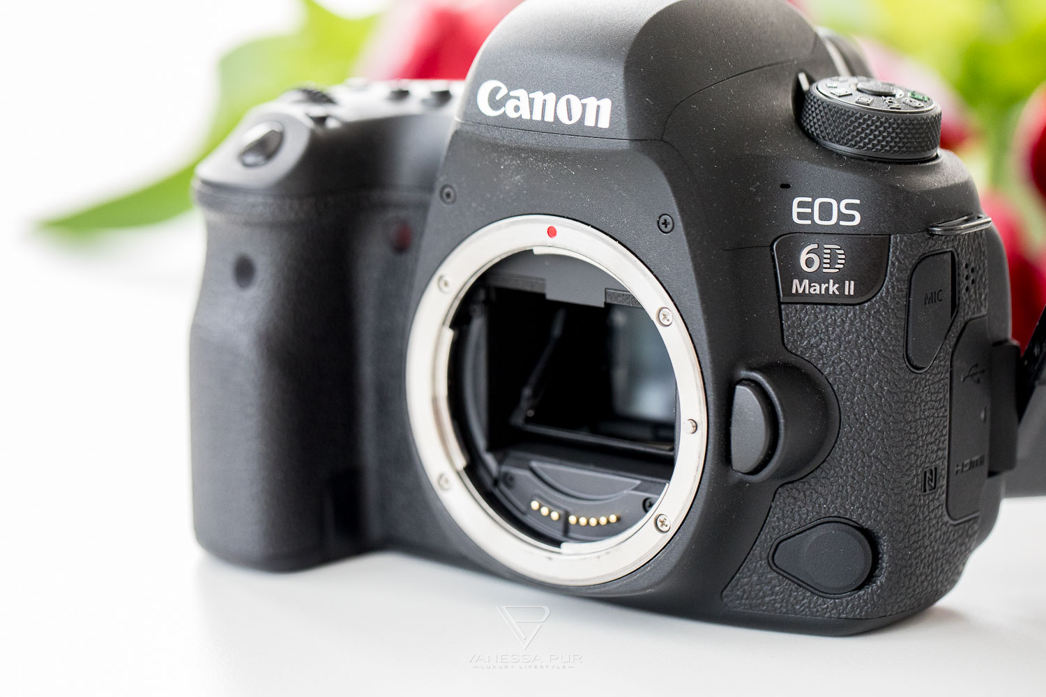 Canon 6D Mark II in long-term test - camera for photographers and videographers - How good is Canon's full-frame camera for photographers, vloggers and YouTubers? Is the switch worth it? What alternatives are there?