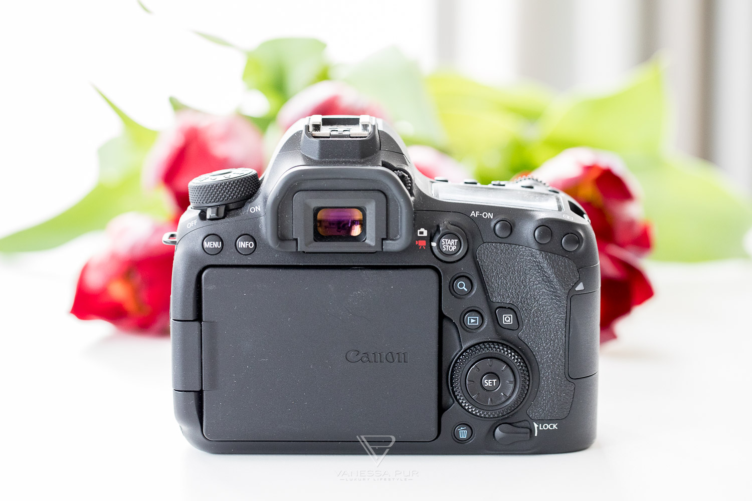 Canon 6D Mark II in long-term test - camera for photographers and videographers - How good is Canon's full-frame camera for photographers, vloggers and YouTubers? Is the switch worth it? What alternatives are there?