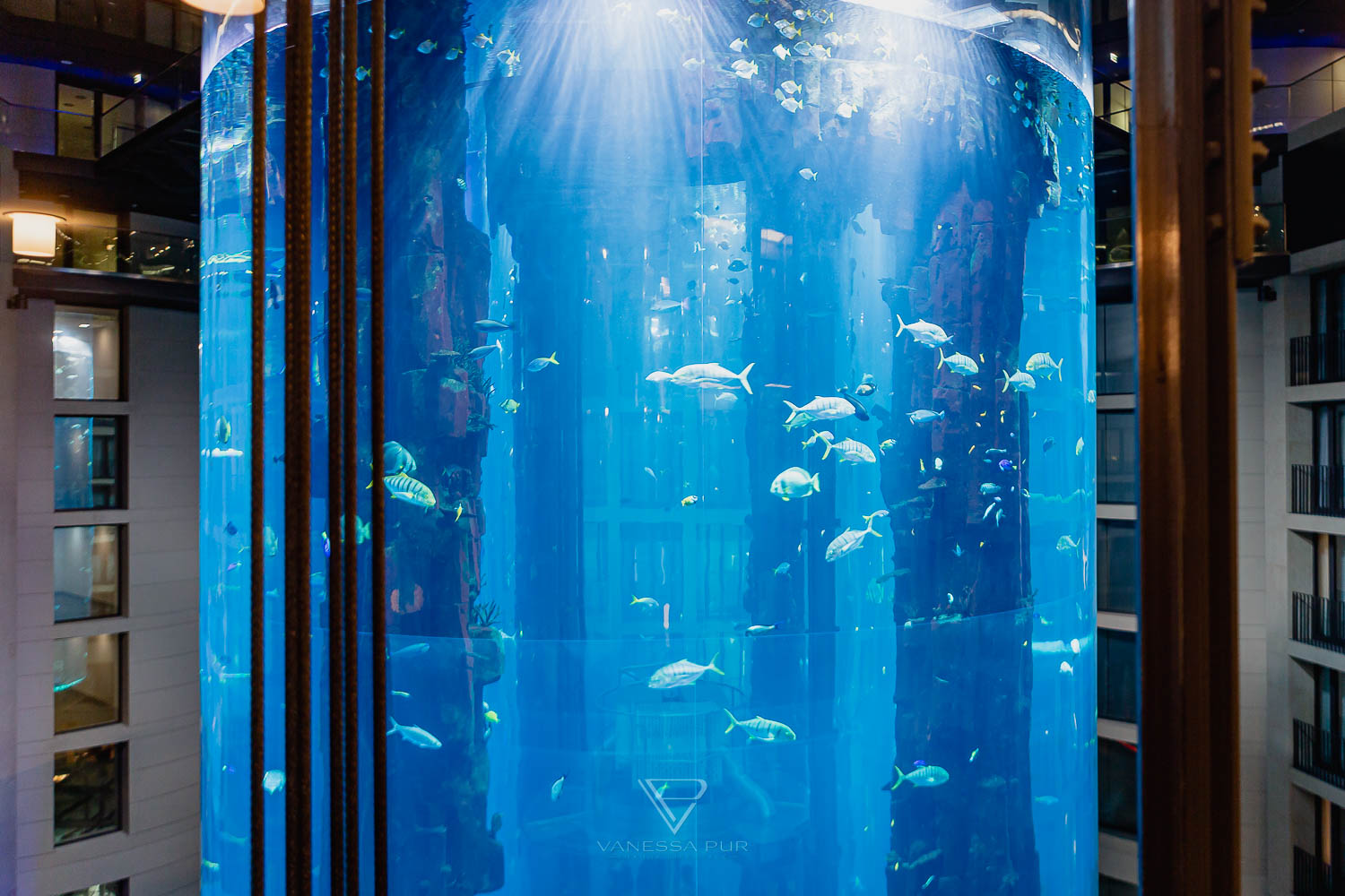 Aquadom Berlin - Huge aquarium with elevator in the hotel - Getting married in aquarium elevator - a special wedding location - 1500 fishes as witnesses of marriage