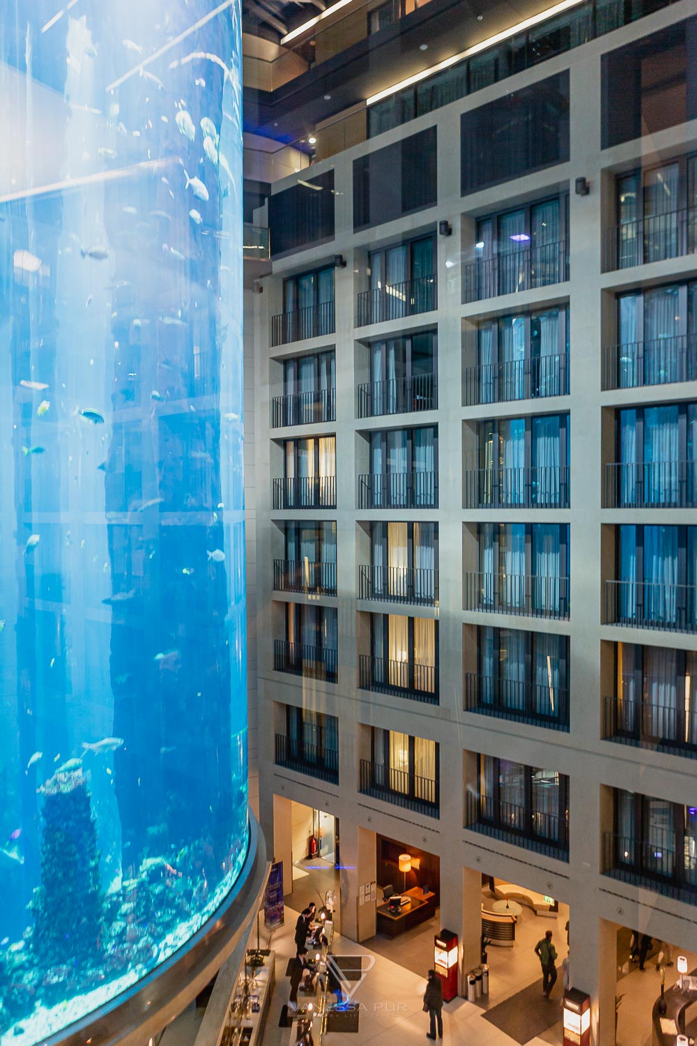 Aquadom Berlin - Huge aquarium with elevator in the hotel - Getting married in aquarium elevator - a special wedding location - 1500 fishes as witnesses of marriage