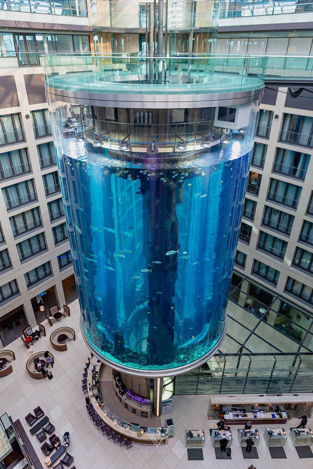 Aquadom Berlin - Huge aquarium with elevator in the hotel - Getting married in aquarium elevator - a special wedding location - 1500 fishes as witnesses of marriage