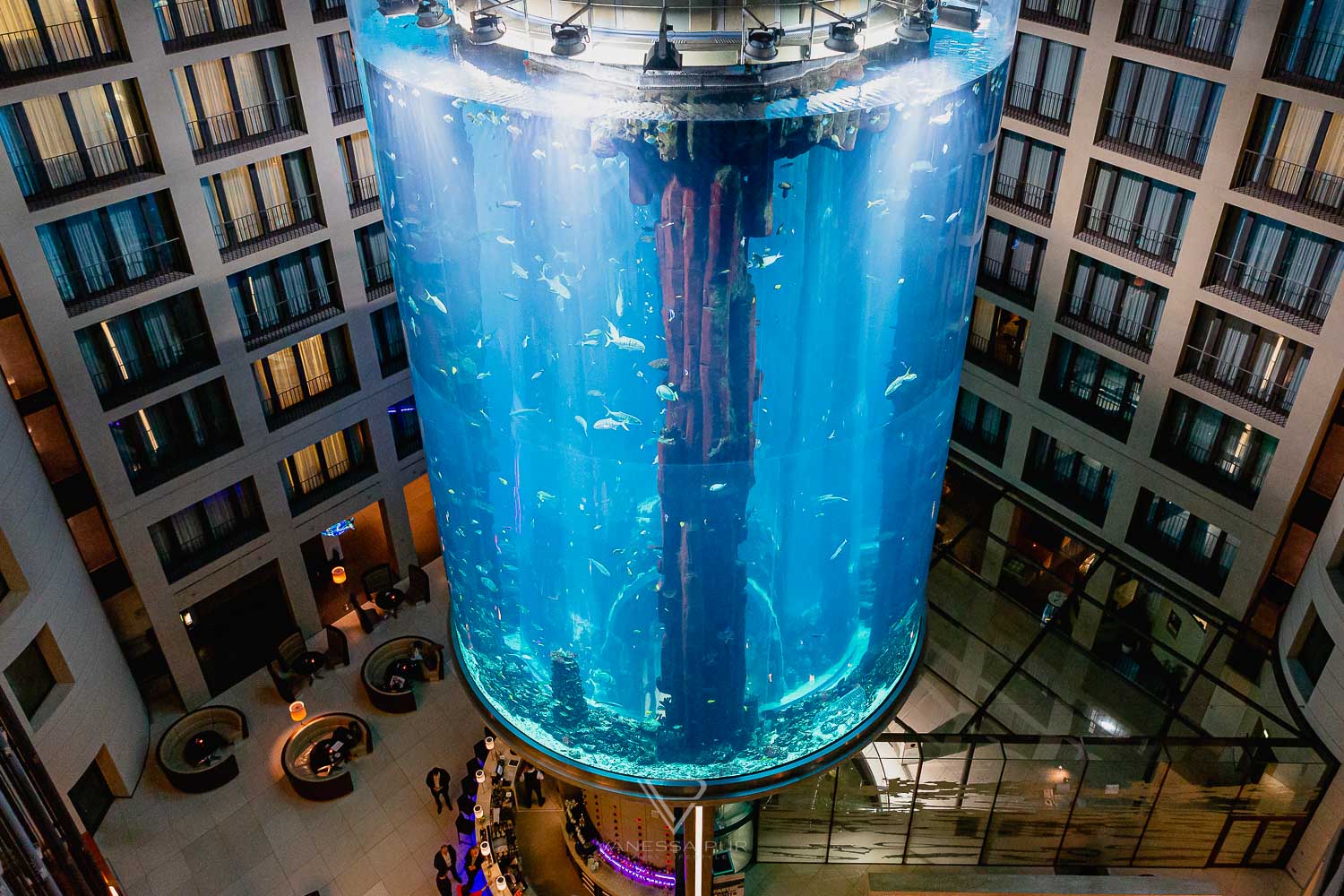 Aquadom Berlin - Huge aquarium with elevator in the hotel - Getting married in aquarium elevator - a special wedding location - 1500 fishes as witnesses of marriage