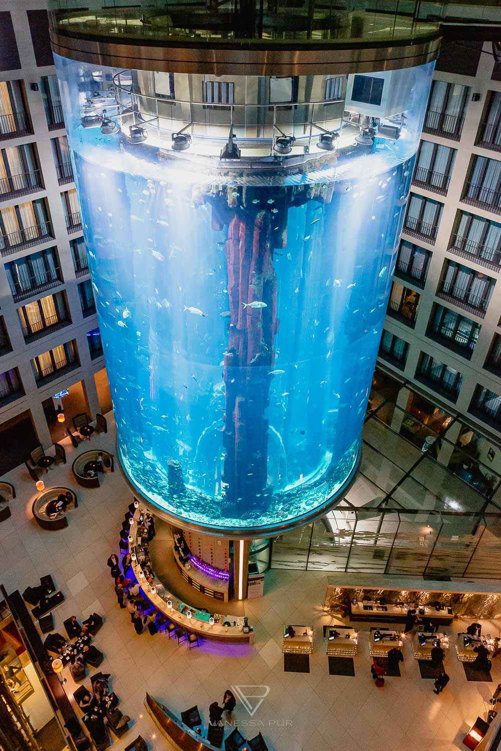 Aquadom Berlin - Huge aquarium with elevator in the hotel - Getting married in aquarium elevator - a special wedding location - 1500 fishes as witnesses of marriage