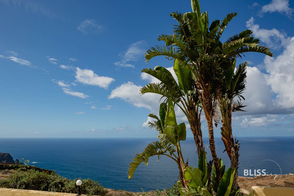 Sehenswürdigkeiten Teneriffa Inselrundfahrt - La Laguna, Weingut, Teide Vulkan - 24 Stunden auf den Kanaren