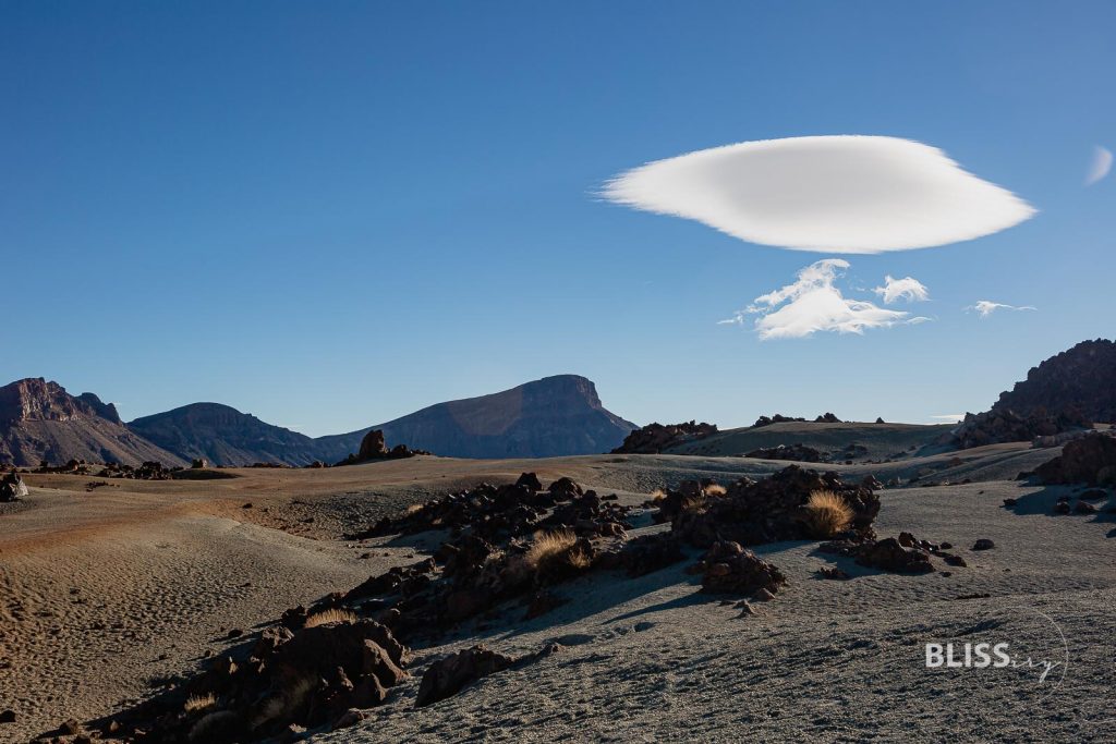 Sehenswürdigkeiten Teneriffa Inselrundfahrt - La Laguna, Weingut, Teide Vulkan - 24 Stunden auf den Kanaren