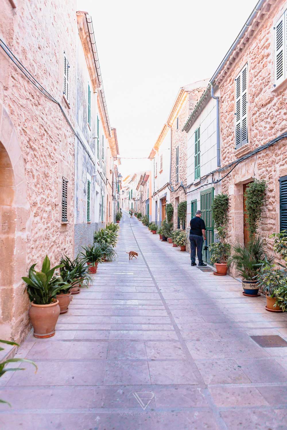 Alcudia Mallorca - historic old town and modern life - Alcudia Mallorca in Spain - tourists and hotels on the Mediterranean Sea, cycling routes, golf courses, beautiful historic old town, port