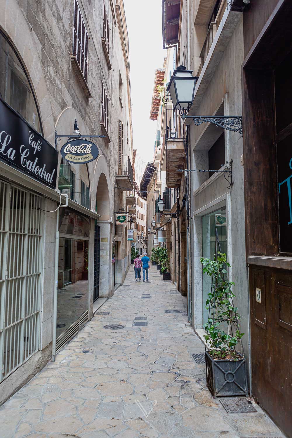 Mallorca sightseeing - Top 10 - Travel tips Palma - Best Top 10 Mallorca sightseeing and travel tips as a travel guide in Palma. Most beautiful beaches of Mallorca, places to visit, nature, hotels - spain - palma de mallorca city sights