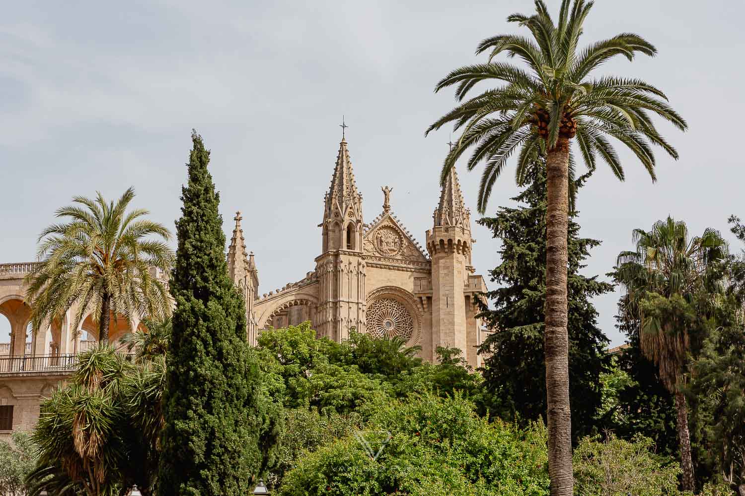 Mallorca sightseeing - Top 10 - Travel tips Palma - Best Top 10 Mallorca sightseeing and travel tips as a travel guide in Palma. Most beautiful beaches of Mallorca, places to visit, nature, hotels - spain - palma de mallorca city sights