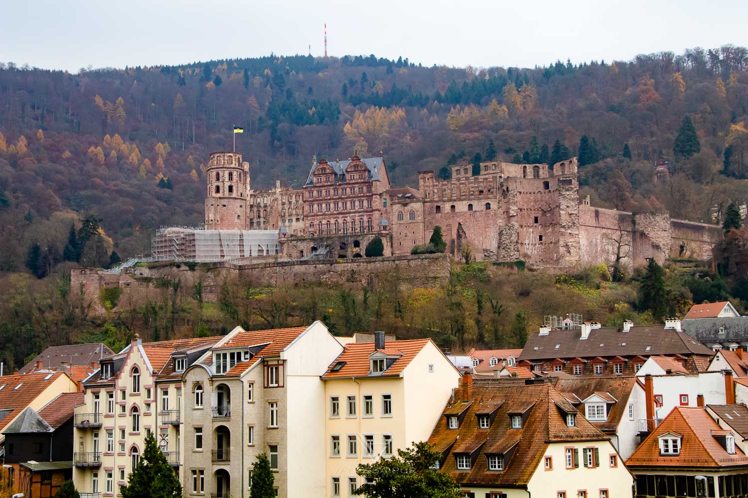 Heidelberg sightseeing top 10 - tips & city tour - Heidelberg in Germany, Heidelberg sightseeing, tips & city tour. 24 hours in Heidelberg, first visit, river, impression,