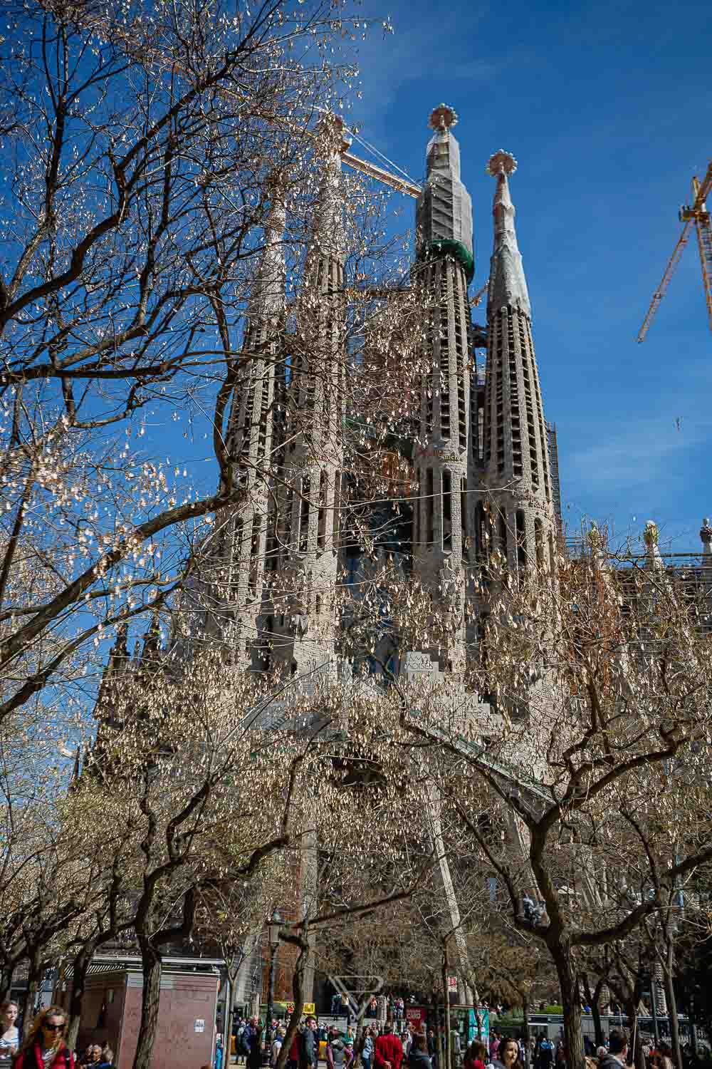 Barcelona - Sagrada Familia church - view & tips for visiting the church and basilica - Top sightseeing in Barcelona, the Sagrada Familia. Entrance fees and opening hours, views from the towers and tips for visiting - Basílica i Temple Expiatori de la Sagrada Família - How much does it cost to climb the tower? Which tower is better? When is the Sagrada open? Is it worth a visit to Barcelona? Barcelona sightseeing and top10 tips - Luxury Travel Blog - Travel Blogger Germany