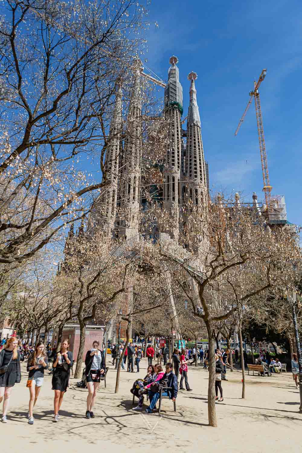 Barcelona - Sagrada Familia church - view & tips for visiting the church and basilica - Top sightseeing in Barcelona, the Sagrada Familia. Entrance fees and opening hours, views from the towers and tips for visiting - Basílica i Temple Expiatori de la Sagrada Família - How much does it cost to climb the tower? Which tower is better? When is the Sagrada open? Is it worth a visit to Barcelona? Barcelona sightseeing and top10 tips - Luxury Travel Blog - Travel Blogger Germany